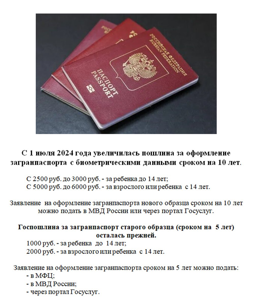 паспорт.png