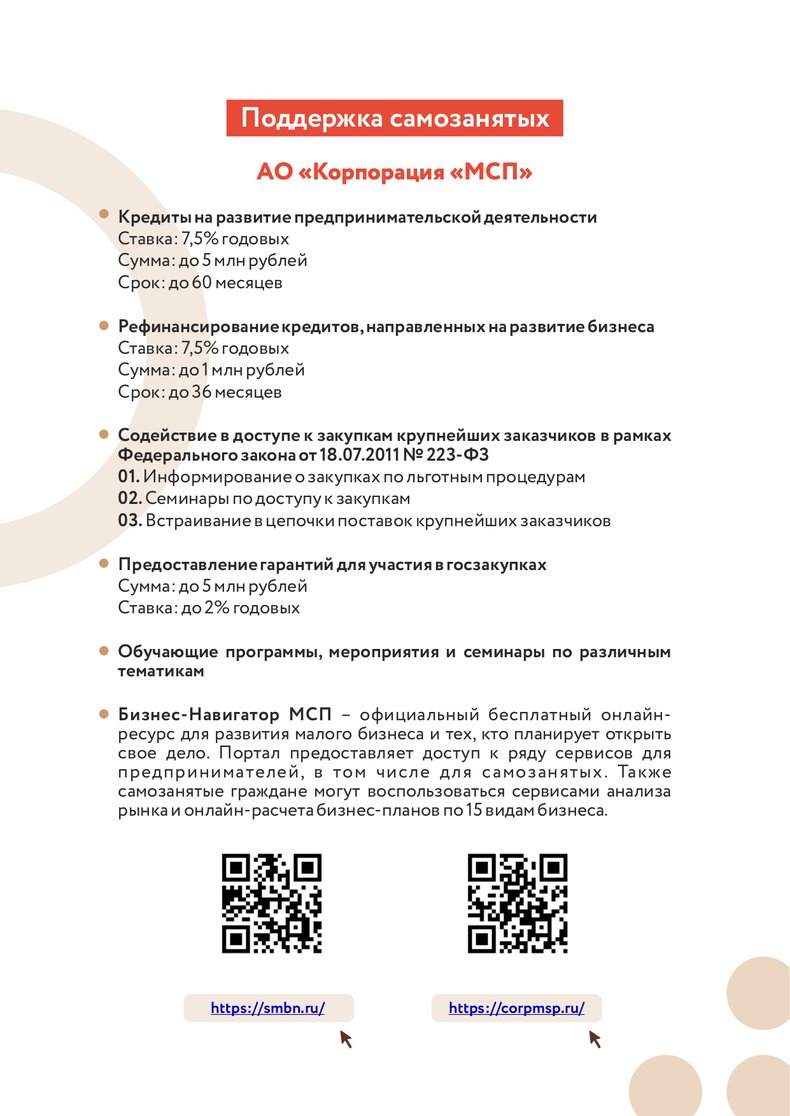 Приложение Regionam_ob_informirov__samoz__o_merakh_podderzhki__fail_oto к входящее письмо от Министе_page-0008.jpg