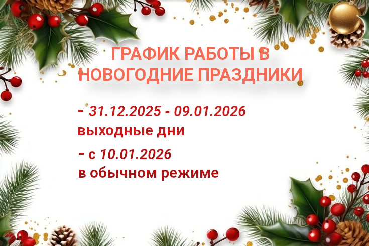 Расписание на новогодние праздники.jpeg